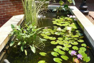 This is an example of a landscaping in Charlotte.