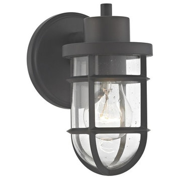 Seeded Glass Outdoor Wall Light with Bronze Cage