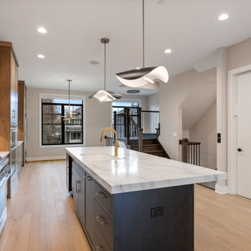 Timeless Interior Luxury Rowhome | Heritage Place Naperville, IL