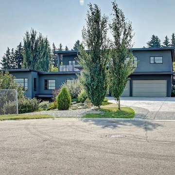 Winston Heights Modern