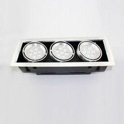 LED down light - Ceiling Lighting