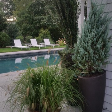 Planters & WIndow Boxes