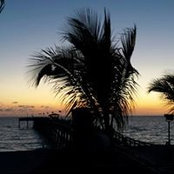 Heidi Storck's photo