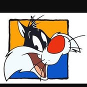 Foto de Bugs Cat