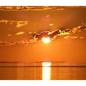 Monique Orieux's photo