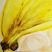 artesys foto
