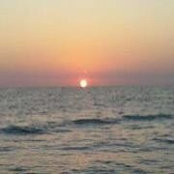 Lori Halter_Holmes's photo