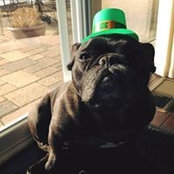 Christopher Troka's photo