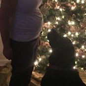 Courtney Beebe's photo