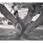Cody Racano's photo