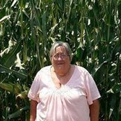 Judy O'Briens billede