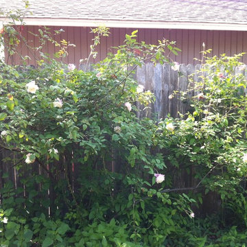 Spirit House Studio