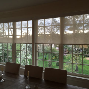 Roller Shades