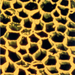 Intracellular View of Cork - Home Decor