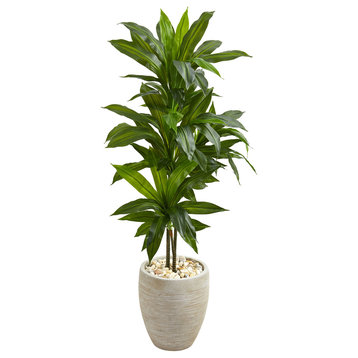 4' Dracaena Artificial Plant in Sand Colored Planter (Real Touch)