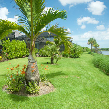 Tropical Full Yard Landscape in Naples FL