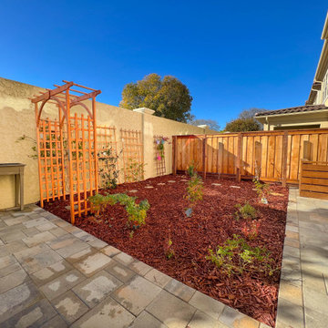Small Backyard Remodel