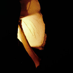 Tectonicus Lamps - Pendant Lighting