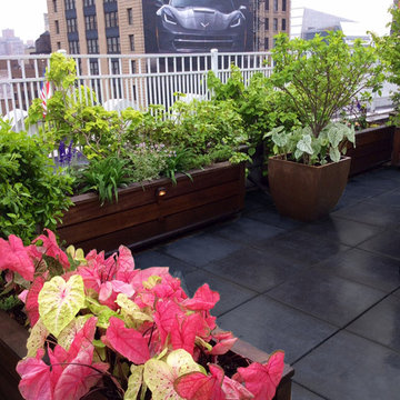 Midtown Office Rooftop