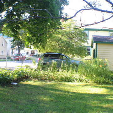 2017 Saratoga Woodland Garden Sheinski