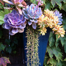 front porch planters