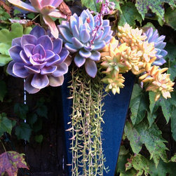 Succulent Containers - Outdoor Pots And Planters