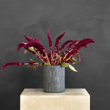 Color Atelier Lime Paint in color Velvet Noir