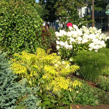 Spectator's delight urban garden