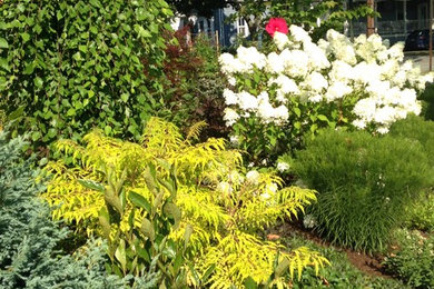 This is an example of an eclectic landscaping in Portland Maine.