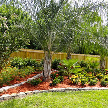 Landscaping Ideas