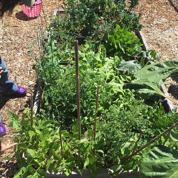 Benicia Community Food Forests