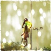 Alex Aceves's photo