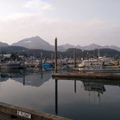 Brad Robinson's photo