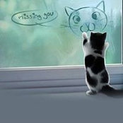 Foto de YU Lin
