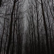 Berkay Tunalıさんの写真