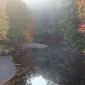 Andrew Davison's photo