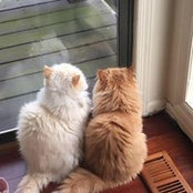 Sharon Benjamin's photo