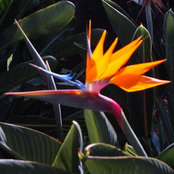 Sherri Pettit's photo