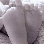 Foto von Breann Shook