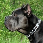 Alla Zilberg's photo