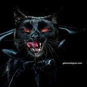 Borja Alvarez's photo