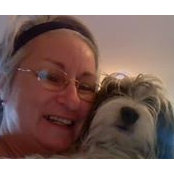 Shelley Bordeleau's photo