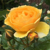 Gabby Steyn's photo