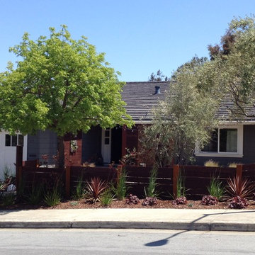 Contemporary Front Yard