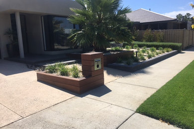 Front yard full sun xeriscape in Melbourne with with privacy feature and concrete pavers.