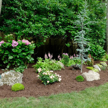 Poolside Planting and more