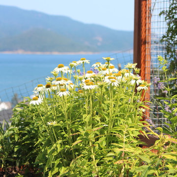Anacortes Wa backyard