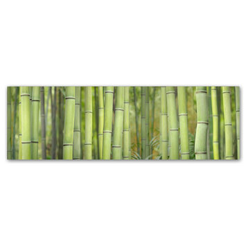 Cora Niele 'Bamboo Scape' Canvas Art
