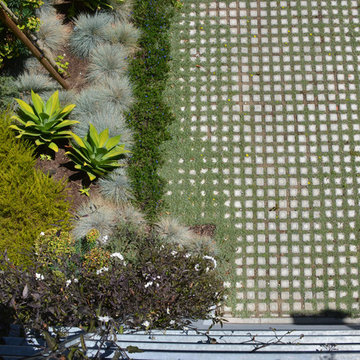 Lake Street House Front Garden