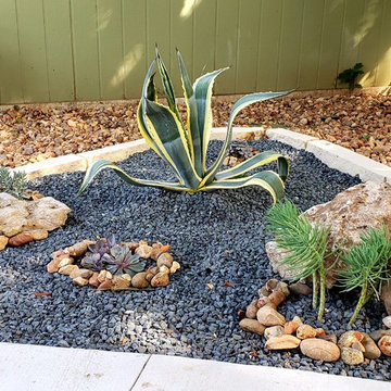 Low Maintenance landscape
